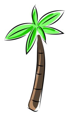 Palmiye ağacı, illüstrasyon, beyaz arkaplan vektörü.