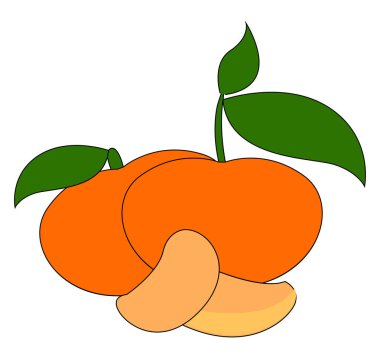 Taze portakal mandalina, illüstrasyon, beyaz arka plan vektör.