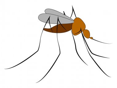 Beyaz arka planda yüz, illüstrasyon, vektör olmayan sivrisinek.