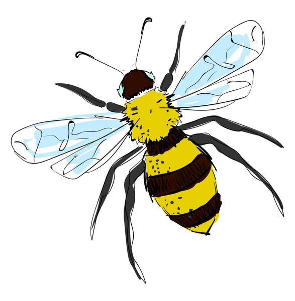 Mooie tekening van Bee, illustratie, vector op witte achtergrond. — Stockvector