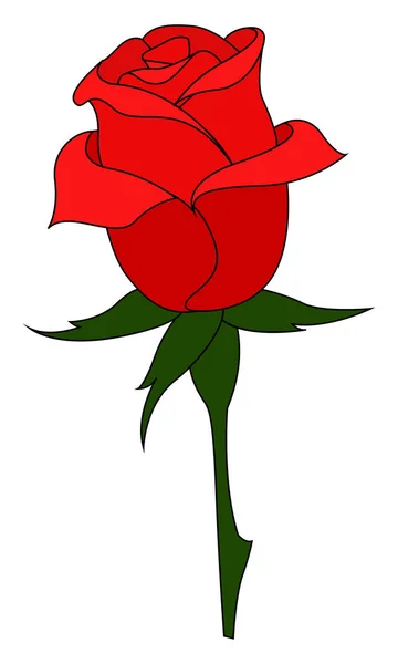 Red rose, illustration, vector on white background. — Stock Vector