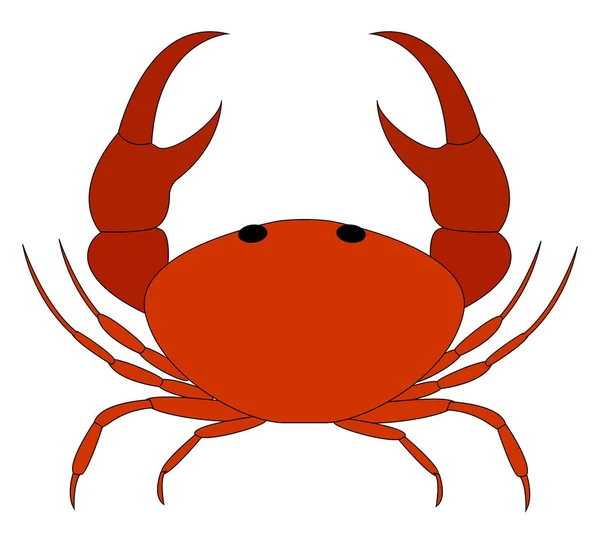 Crabe rouge, illustration, vecteur sur fond blanc. — Image vectorielle