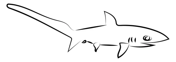 Dibujo de tiburón, ilustración, vector sobre fondo blanco . — Vector de stock