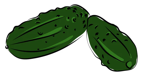 Grand concombre, illustration, vecteur sur fond blanc . — Image vectorielle