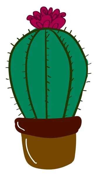 Kaktus med blomma, illustration, vektor på vit bakgrund. — Stock vektor