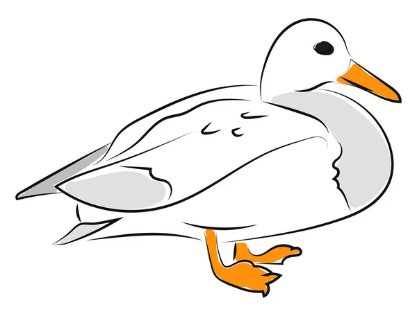 White duck, illustration, vector on white background. — Stock Vector