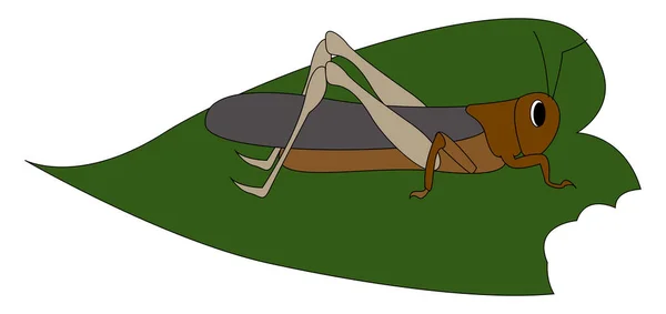 Locust on leaf, illustration, vector on white background. — Stock Vector