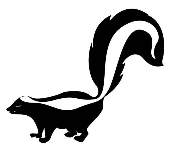 Skunk con cola grande, ilustración, vector sobre fondo blanco . — Vector de stock