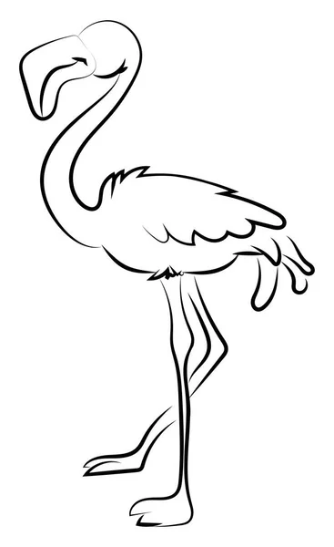 Flamingo rysunek, ilustracja, wektor na białym tle. — Wektor stockowy