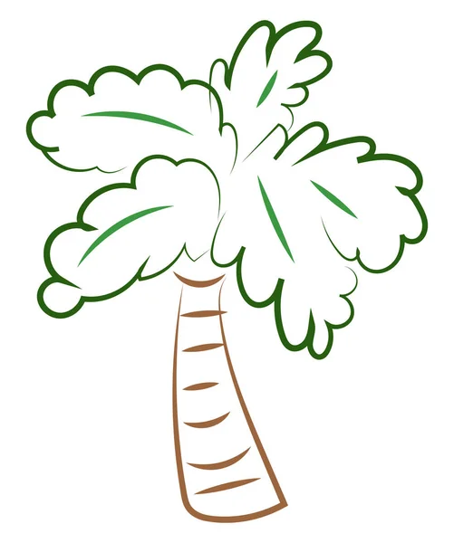 Palm boom tekening, illustratie, vector op witte achtergrond. — Stockvector