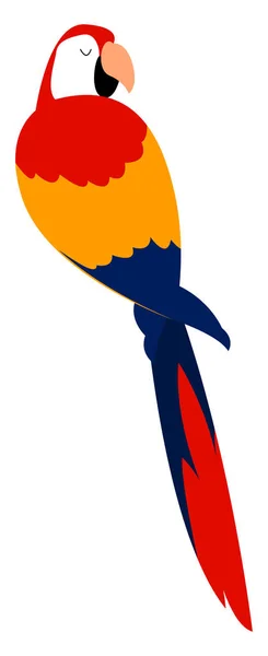 Κόκκινο Macaw, απεικόνιση, διάνυσμα σε λευκό φόντο. — Διανυσματικό Αρχείο