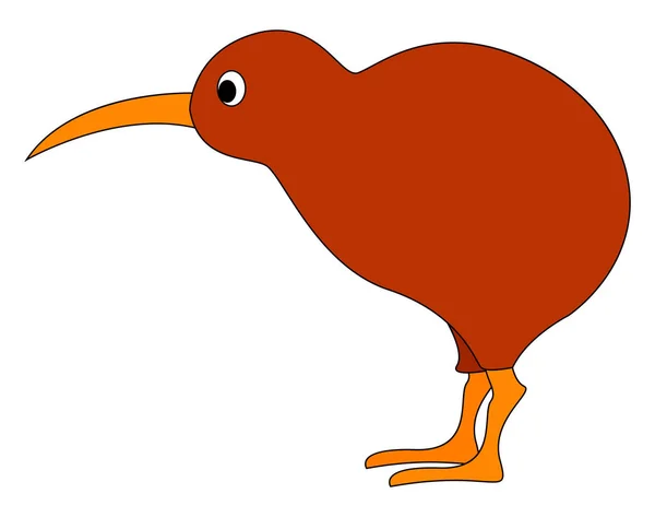 Kiwi Bird, illusztráció, vektor fehér háttérben. — Stock Vector