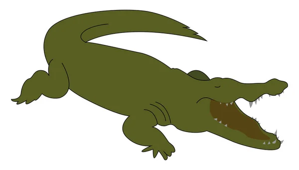 Green crocodile, illustration, vector on white background. — Stock Vector