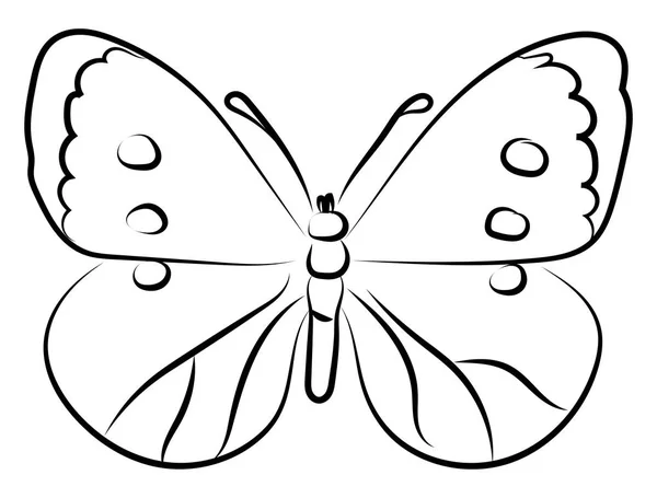 Pillangó rajz, illusztráció, vektor fehér háttérben. — Stock Vector