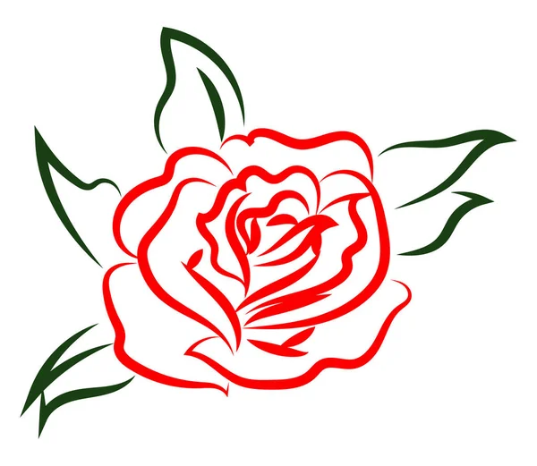 Dibujo de rosa roja, ilustración, vector sobre fondo blanco . — Vector de stock