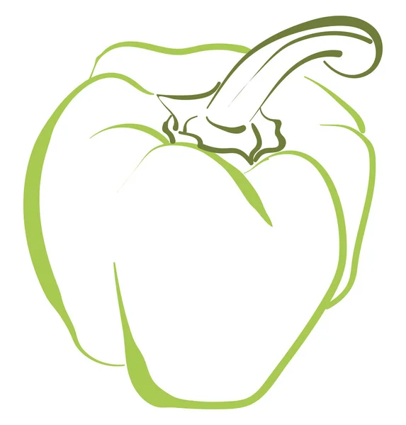 Dibujo de pimiento verde, ilustración, vector sobre fondo blanco . — Vector de stock