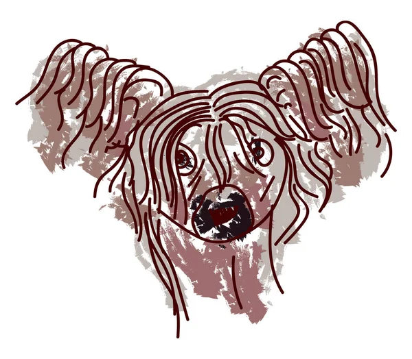 Pies Crested, ilustracja, wektor na białym tle. — Wektor stockowy