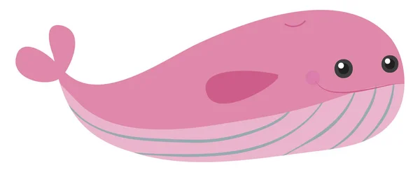 Schattig roze walvis, illustratie, vector op witte achtergrond. — Stockvector