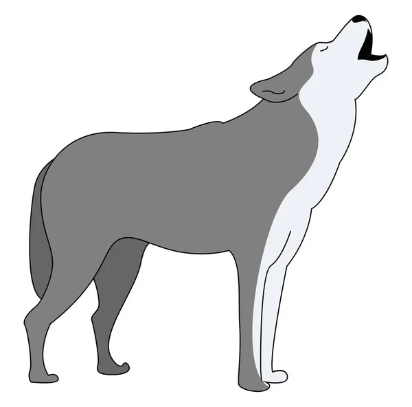 Grauer Wolf, Illustration, Vektor auf weißem Hintergrund. — Stockvektor