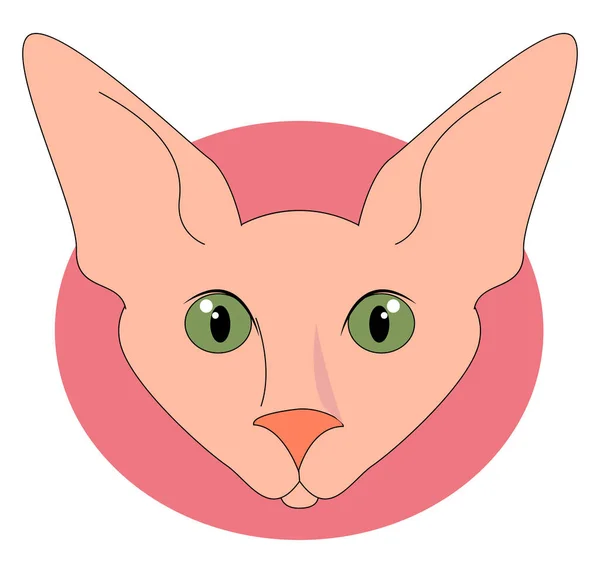 緑色の目を持つスフィンクス猫、イラスト、白いバックグレッグのベクトル — ストックベクタ