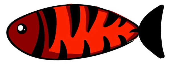 Pesce rosso con strisce nere, illustrazione, vettore su dorso bianco — Vettoriale Stock