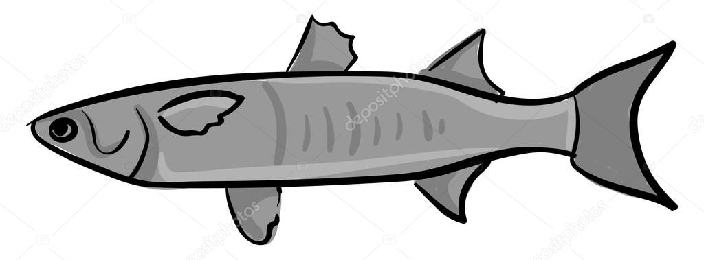 Mullet fish, illustration, vector on white background. — Stock Illustration Mullet fish, illustration, vector on white background. Vector Graphics
