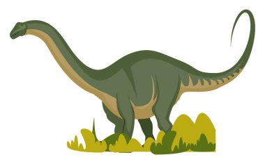 Apatosaurus, illüstrasyon, beyaz arka plan vektör.