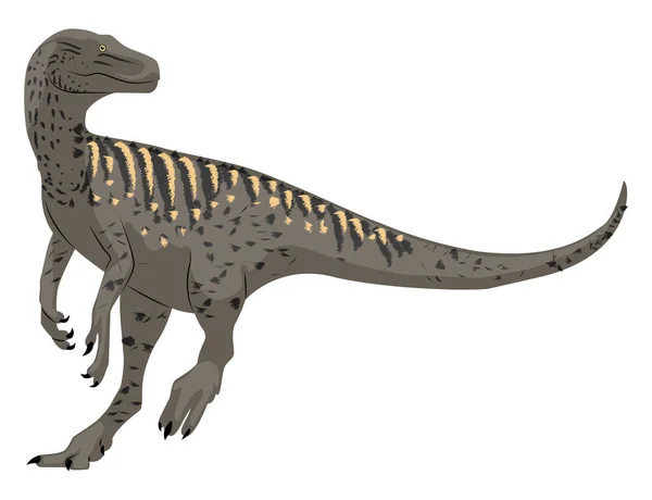 Herrerasaurus, illustratie, vector op witte achtergrond. — Stockvector