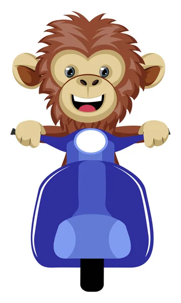 Mono en scooter, ilustración, vector sobre fondo blanco . — Vector de stock