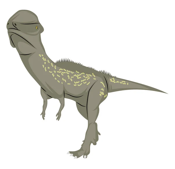 Stegoceras, illustratie, vector op witte achtergrond. — Stockvector