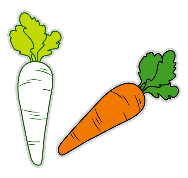 Zanahoria fresca, ilustración, vector sobre fondo blanco . — Vector de stock