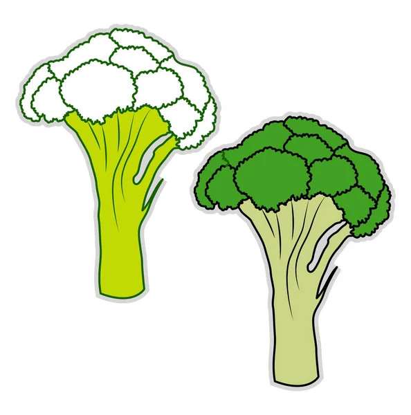 Broccoli freschi, illustrazione, vettore su sfondo bianco. — Vettoriale Stock