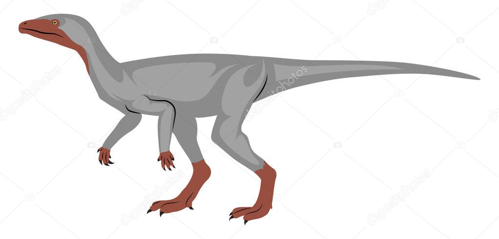 Eoraptor, illustration, vector on white background.