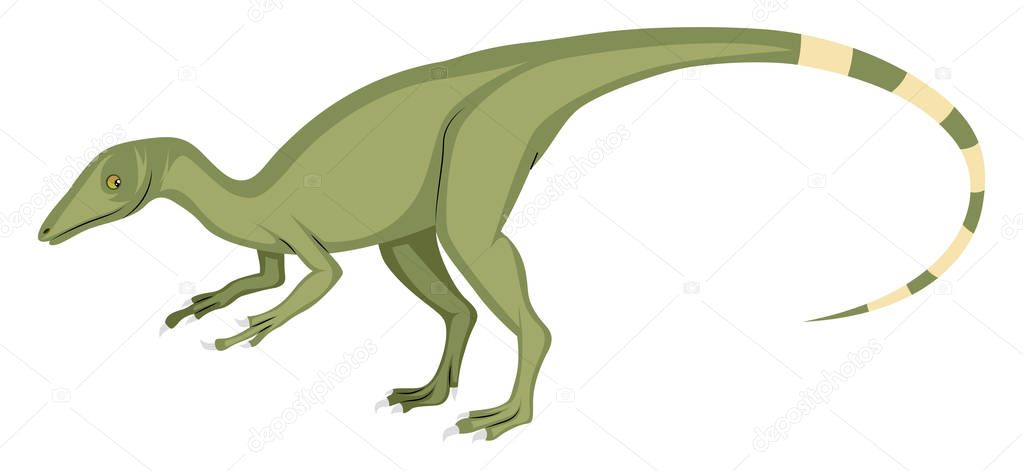 Compsognathus, illustration, vector on white background.