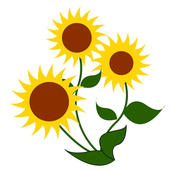 Three big sunflowers, illustration, vector on white background — Stock Vector