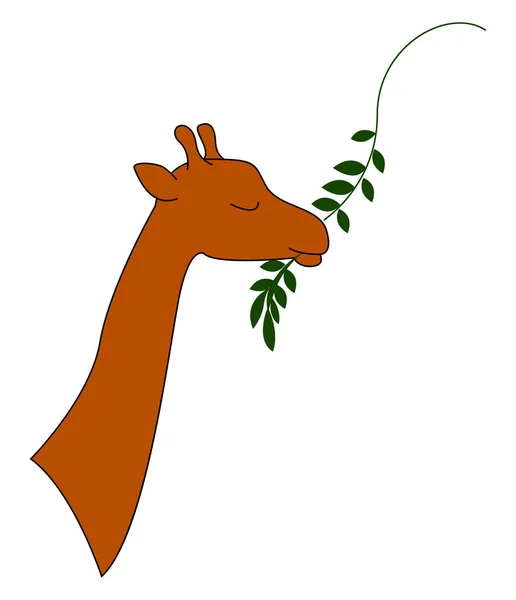Giraff eatting, illustration, vektor på vit bakgrund. — Stock vektor