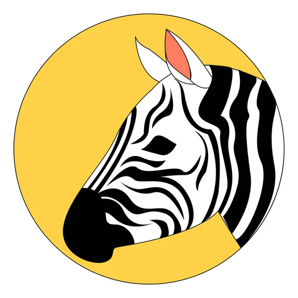 Beautiful zebra, illustration, vector on white background. — Stock Vector