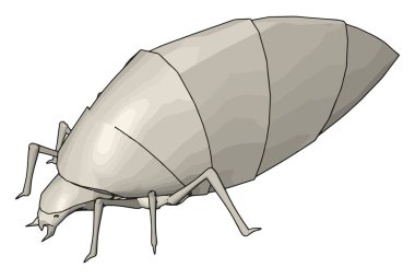 Beyaz gübre böceği, illüstrasyon, beyaz arka plan üzerinde vektör.