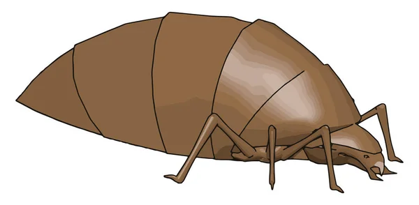 3D nosorożec chrząszcz, ilustracja, wektor na białym tle. — Wektor stockowy