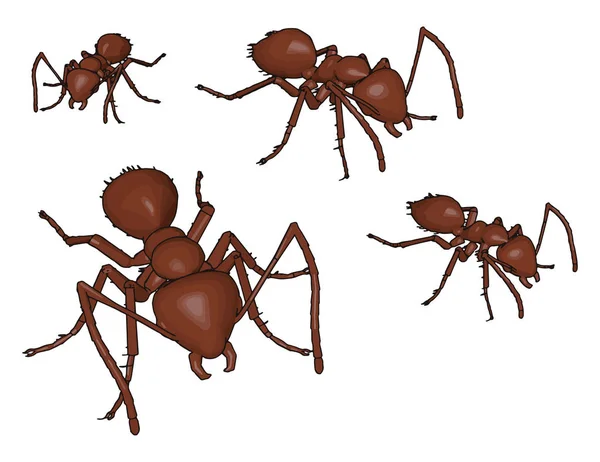 Four 3D brown ants, illustration, vector on white background. — Stock Vector