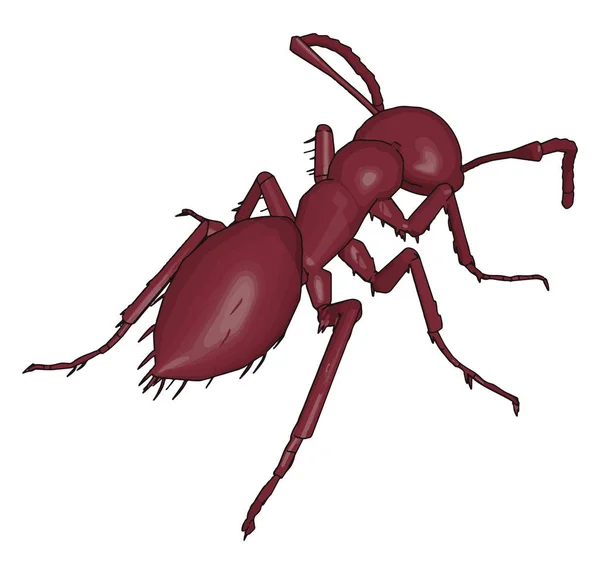 Parte de trás de uma formiga 3D, ilustração, vetor sobre fundo branco . — Vetor de Stock