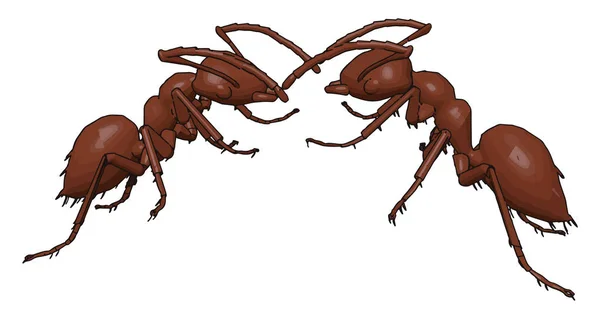 Deux fourmis combattant, illustration, vecteur sur fond blanc . — Image vectorielle