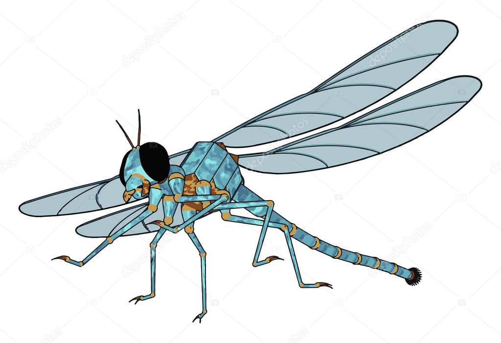 3D model of dragonfly, illustration, vector on white background.