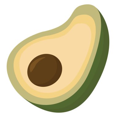 Avokado meyve, illüstrasyon, beyaz arka plan vektör.