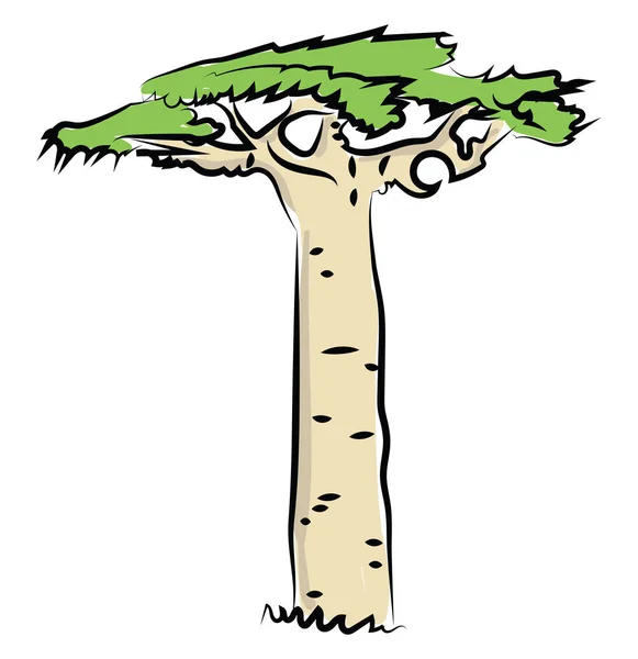 Grand arbre gras, illustration, vecteur sur fond blanc . — Image vectorielle