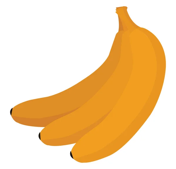 Frische Banane, Illustration, Vektor auf weißem Hintergrund. — Stockvektor