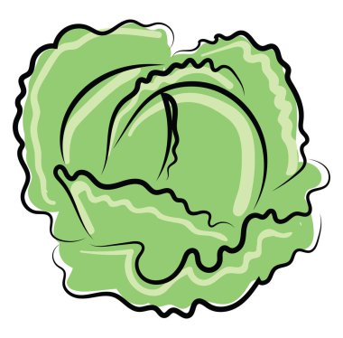 Taze lahana, illüstrasyon, beyaz arka plan vektör.