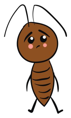 Üzgün hamamböceği, illüstrasyon, beyaz arka plan vektör.