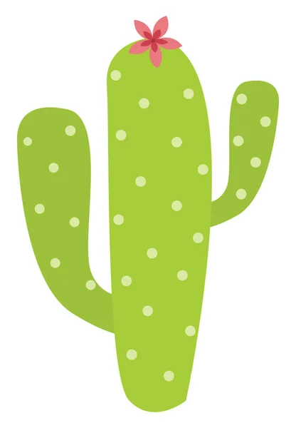 Cactus, illustratie, vector op witte achtergrond. — Stockvector