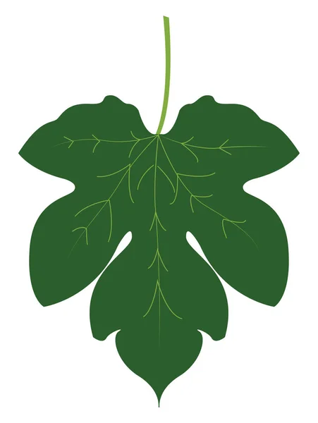 Fig Leaf, illustration, vektor på vit bakgrund. — Stock vektor